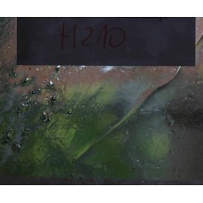 H210