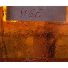 H6E