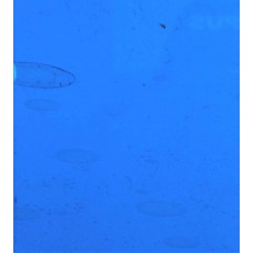 307-2