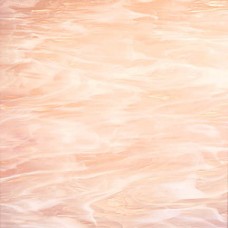 #891-81S