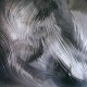 #BR/GRAY-PALE