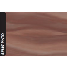 SF607